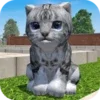 Cute Pocket Cat 3D - Part 2