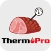 ThermoPro BBQ