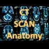 Ruky_CT Scan Anatomy