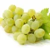 Grapes Wallpapers