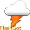 FlashGot