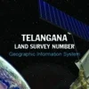 TS Land Survey Numbers