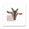 My Goat Manager - Farming app