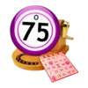 Bingo 75