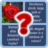 FloraQuest: Flower Trivia