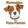 Remedios Caseros Para Perro