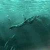 Plesiosaurus Simulator