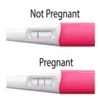 Pregnancy test