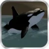 Orca Simulator