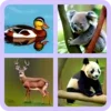 Animal Quiz