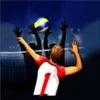 Volleyball Championship