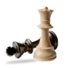 GNU Chess