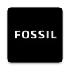 Fossil Q