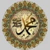 Hadith Collection