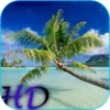 Beach HD Video Live Wallpaper