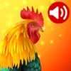 Animals: Ringtones