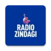 Radio Zindagi: Hindi Radio USA