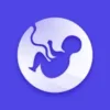 Pregnancy Calculator