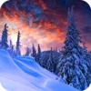 Winter Wallpapers 4K