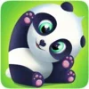 Pu - Cute giant panda bear