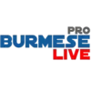 Burmese Live Pro