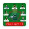 My Dream Cricket Circle- Pro11