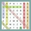 Wordsearch