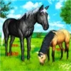 Wild Horse Games Survival Sim