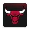 Chicago Bulls