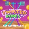 Twisted Ropes 3D Tangle Master