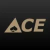 Ace Auto Parts - St. Paul, MN