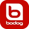 Bodog lv: casino game