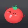 VPN Tomato