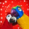 Talking Parrot Couple Free