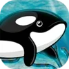 Orca Fish Home Adventure