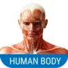 Human Body System