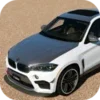 Drive BMW X6