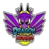 DragonBound