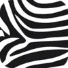 Zebra Print Wallpapers