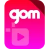 GOM Mix Pro