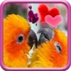 Love Birds Live Wallpaper