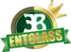 Entclass Blog