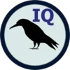 Raven IQ Test