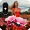 Blur photo background editor