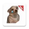 Stickers Dog Memes