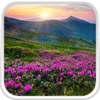 Mountain Flower Live Wallpaper