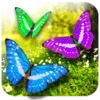 Butterflies live wallpaper