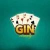 Gin Rummy Offline