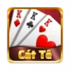 Catte Card Game