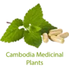 ANT Khmer Medicinal Plant 2016